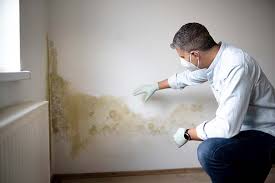 Best Mold Damage Restoration  in Gordon, GA